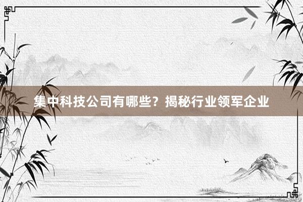 集中科技公司有哪些？揭秘行业领军企业